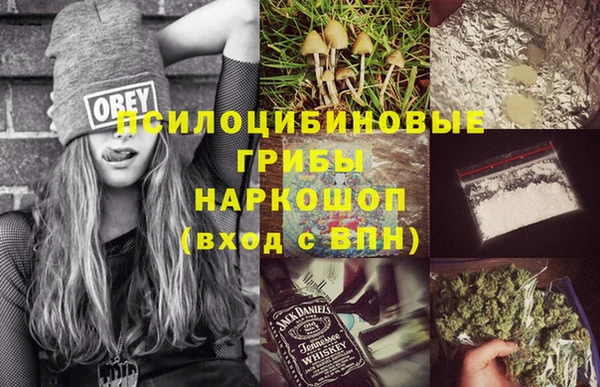 ECSTASY Алексин