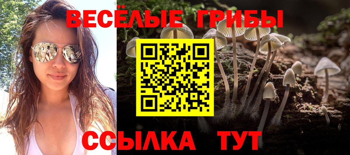 Глазов  наркошоп  Галлюциногенные грибы Cubensis  Вход с VPN  Псилоцибиновые грибы мухоморы 